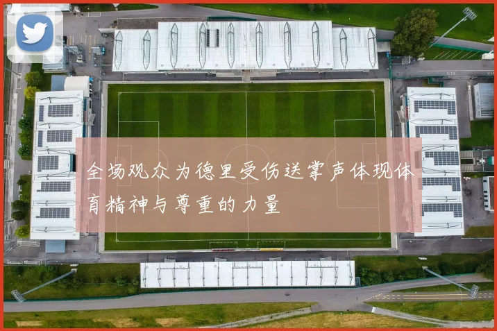 全场观众为德里受伤送掌声体现体育精神与尊重的力量